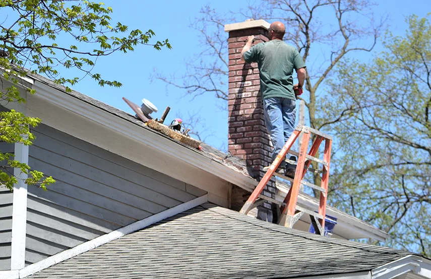 Chimney & Fireplace Inspections Services in Warner Robins, GA